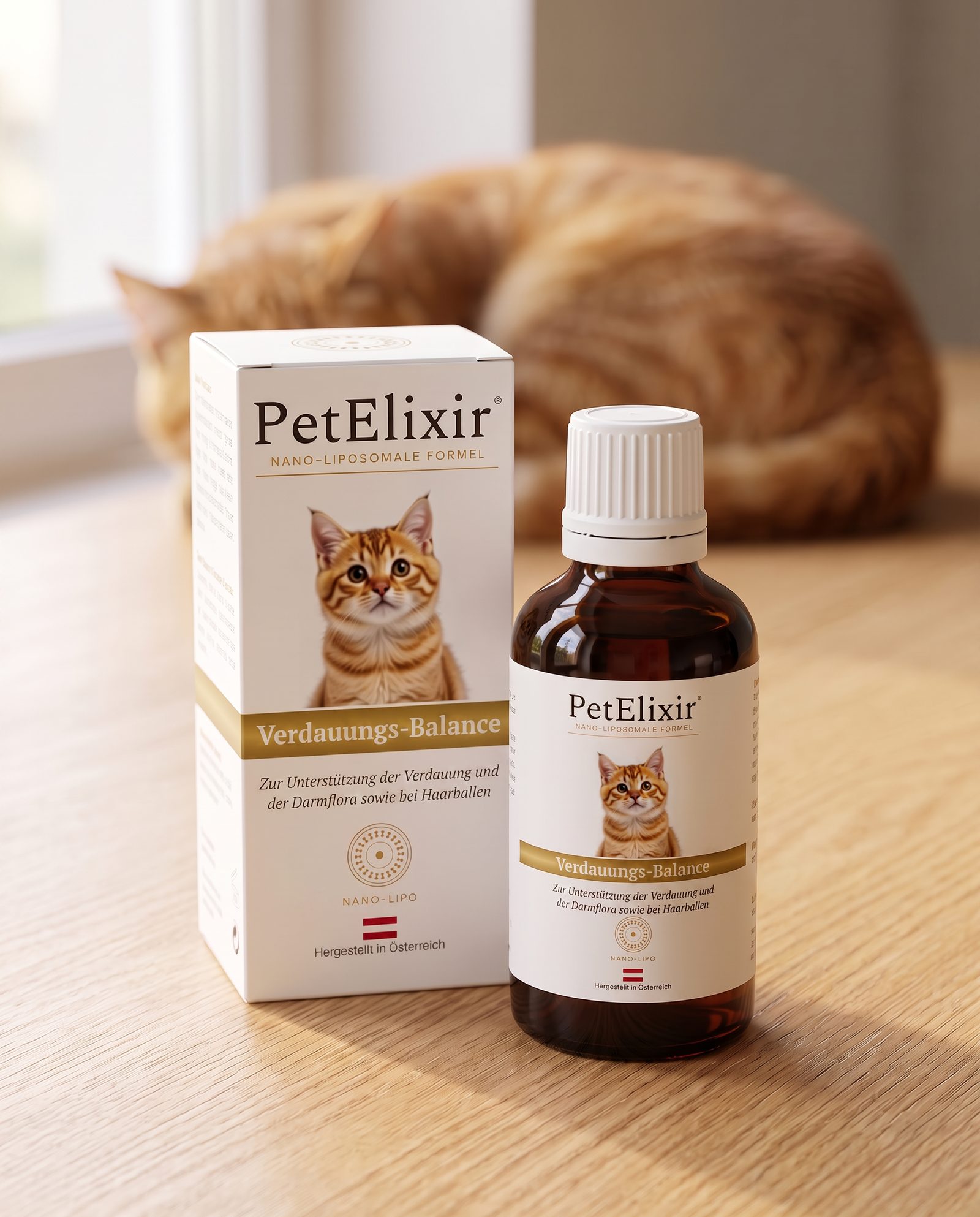 Verdauungs-Balance™ NanoLipoX™ – Bélkomfort elixír macskáknak – PetElixir™